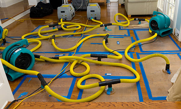 Professional Sewage Cleanup technician working in Branchville, NJ